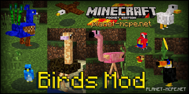 Мод Birds 0.15.6/0.14.3/0.13.1 | Моды Для Minecraft PE