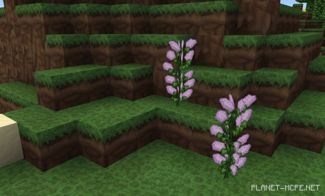 Текстур пак PureBDcraft PE (PocketBDcraft) 0.13.1/0.13.0 Текстур пак PureBDcraft PE (PocketBDcraft) 0.13.1/0.13.0
