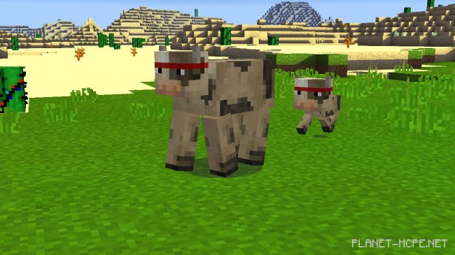 Шейдеры Fletchercraft Christmas 0.13.1/0.13.0 Шейдеры Fletchercraft Christmas 0.13.1/0.13.0