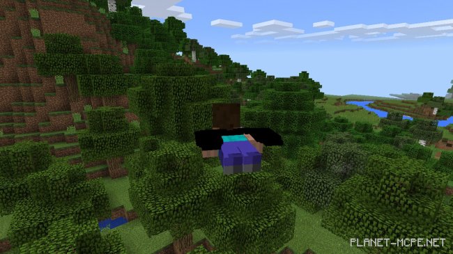 Мод Elytra Wings 0.13.0 Мод Elytra Wings 0.13.0