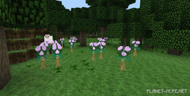Текстур пак Majora’s Mask 0.14.1/0.14.0 Текстур пак Majora’s Mask 0.14.1/0.14.0