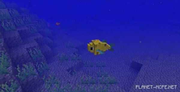 MCPE 0.15.0: Хотите новых морских существ!? MCPE 0.15.0: Хотите новых морских существ!?