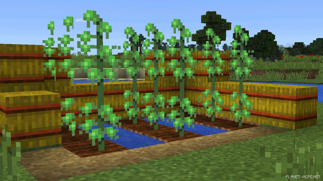 мод с конопля в minecraft
