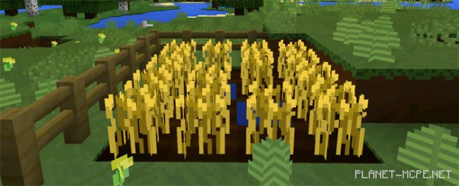 Текстур пак ClagCraft 0.14.2/0.14.1/0.14.0 Текстур пак ClagCraft 0.14.2/0.14.1/0.14.0
