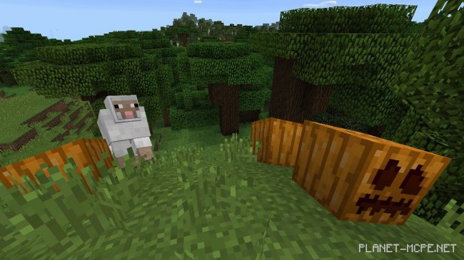Шейдеры Animal Crossing 0.14.2/0.14.0 Шейдеры Animal Crossing 0.14.2/0.14.0