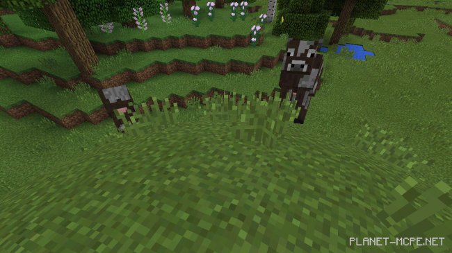 Шейдеры Animal Crossing 0.14.2/0.14.0 Шейдеры Animal Crossing 0.14.2/0.14.0