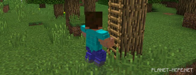 Мод Animated Plus 0.15.4/0.14.3/0.14.0 Мод Animated Plus 0.15.4/0.14.3/0.14.0