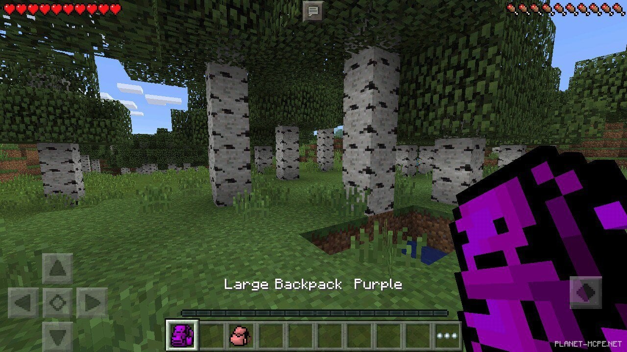 мод на майнкрафт на рюкзаки 0.14.0 #12