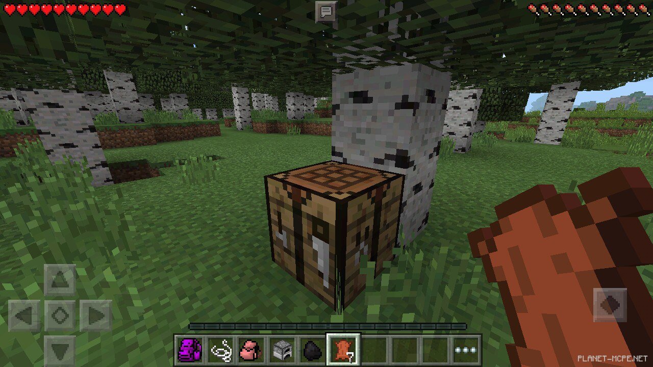 мод на майнкрафт на рюкзаки 0.14.0 #2