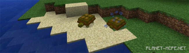 Мод Pocket Creatures 0.15.6/0.15.4/0.14.3 Мод Pocket Creatures 0.15.6/0.15.4/0.14.3