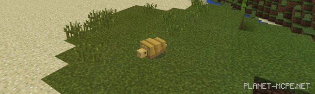 Мод Pocket Creatures 0.15.6/0.15.4/0.14.3 Мод Pocket Creatures 0.15.6/0.15.4/0.14.3