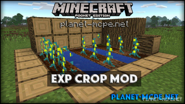 Мод Exp Crop 0.15.4/0.14.3/0.14.1