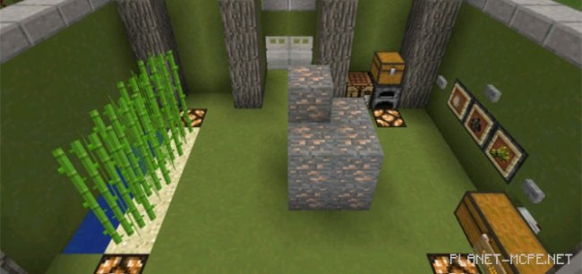 Карта BrainGames 2 Карта BrainGames 2