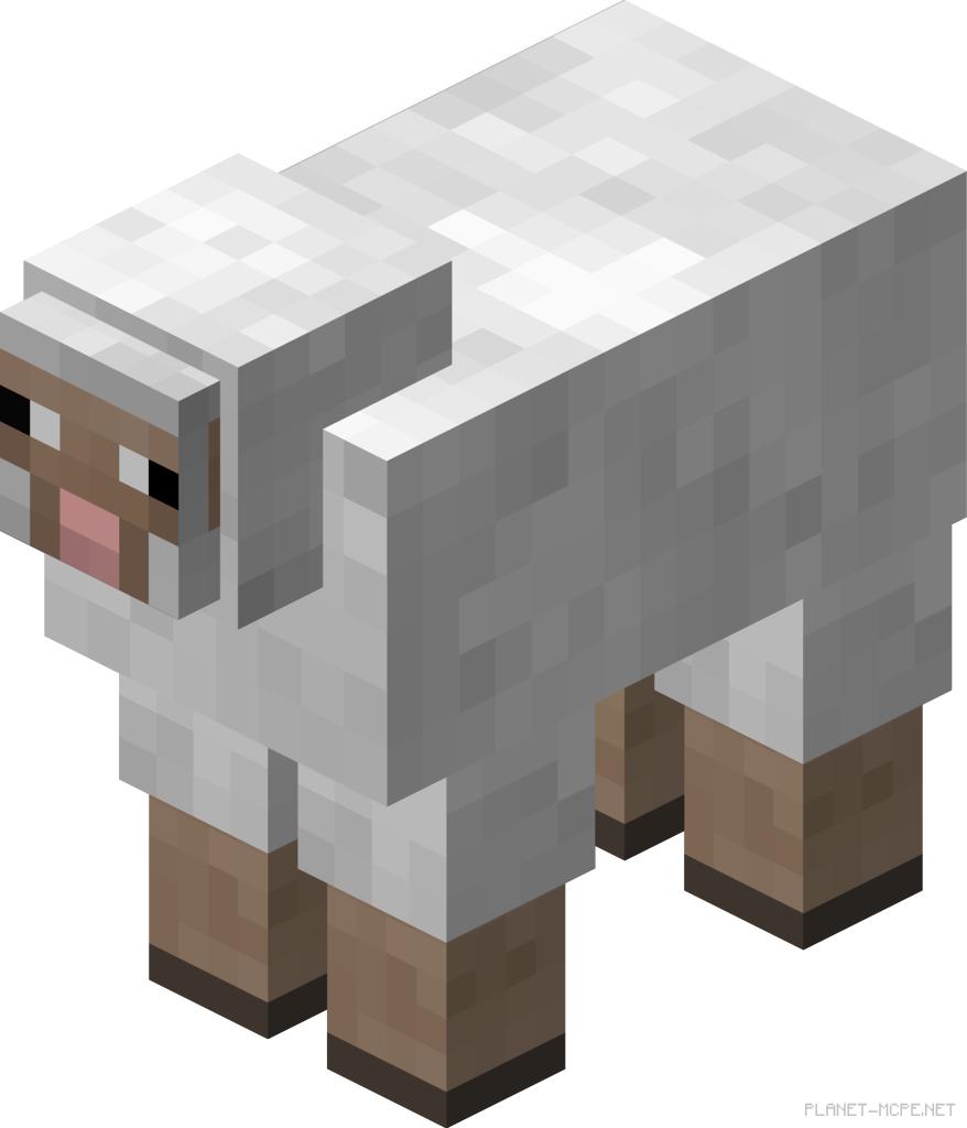 Овца (Мобы) — Гайды по Minecraft PE