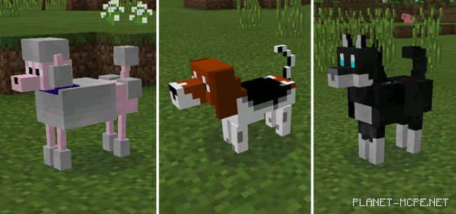 Мод Doggy 0.15.6 Мод Doggy 0.15.6