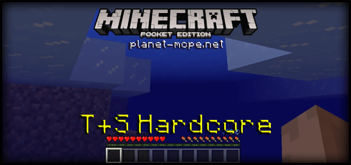 Мод T+S Hardcore 1.2.9