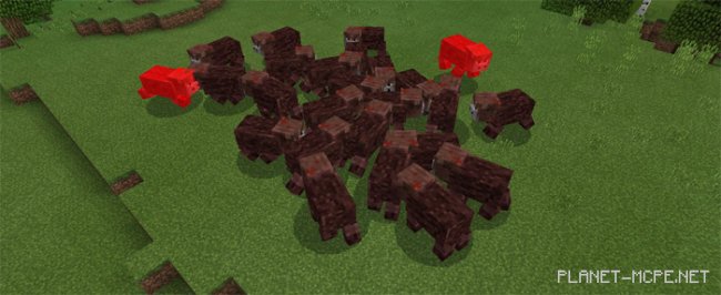 Мод Lucky Balls 0.16.1/0.16.0 Мод Lucky Balls 0.16.1/0.16.0