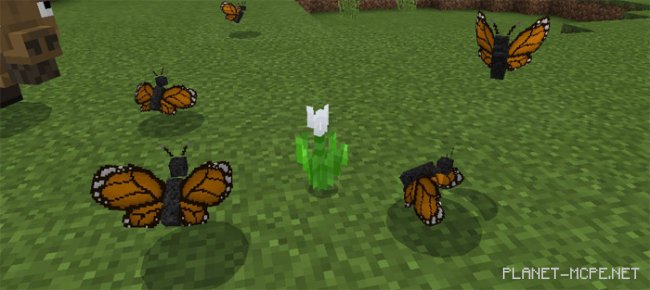 Мод Twilight Forest 0.16.1/0.16.0 Мод Twilight Forest 0.16.1/0.16.0