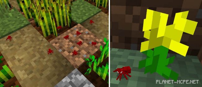 Мод Ants 0.17.0/0.16.1/0.16.0 Мод Ants 0.17.0/0.16.1/0.16.0