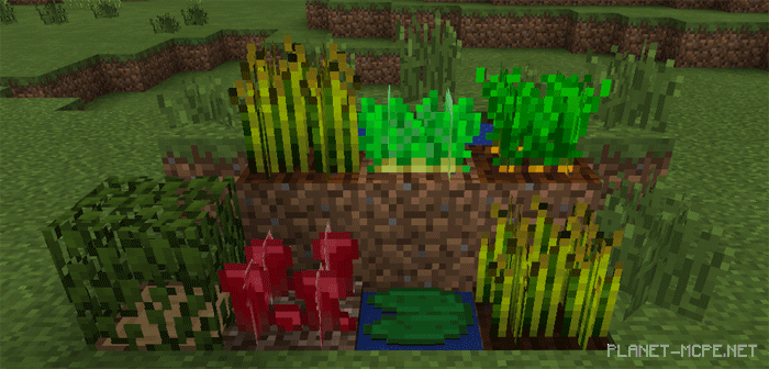 Текстур пак Waving Plants 1.0/0.17.0/0.16.1/0.16.0 Текстур пак Waving Plants 1.0/0.17.0/0.16.1/0.16.0