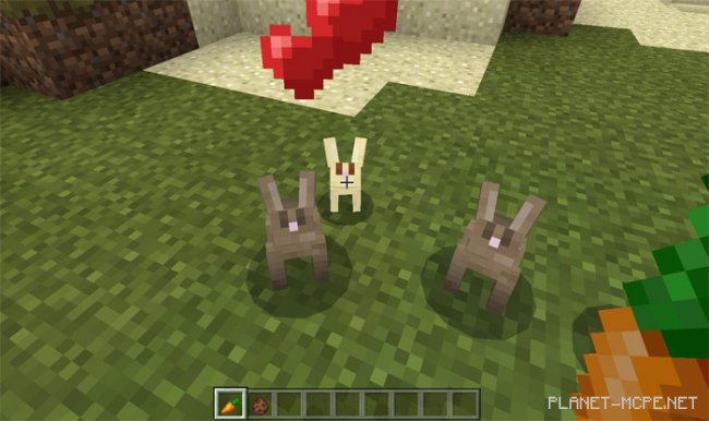 Мод Tameable Rabbits 0.17.0/0.16.1/0.16.0 Мод Tameable Rabbits 0.17.0/0.16.1/0.16.0