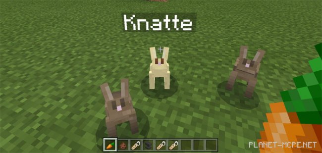 Мод Tameable Rabbits 0.17.0/0.16.1/0.16.0 Мод Tameable Rabbits 0.17.0/0.16.1/0.16.0