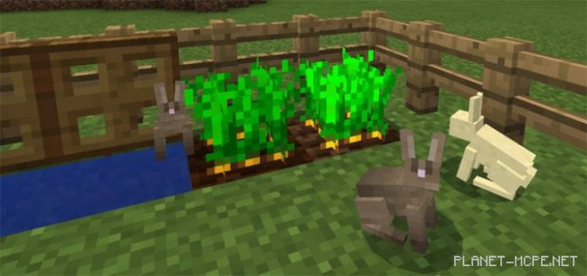 Мод Tameable Rabbits 0.17.0/0.16.1/0.16.0 Мод Tameable Rabbits 0.17.0/0.16.1/0.16.0