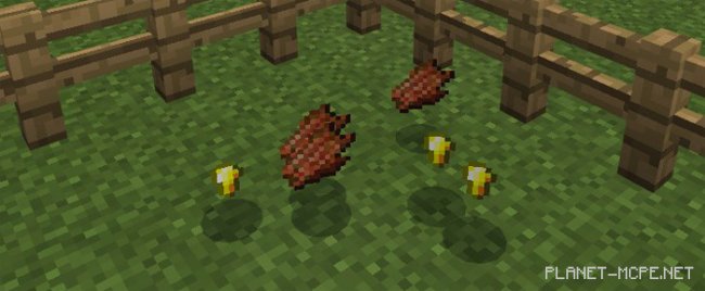 Мод The Nether Caster 1.0/0.17.0/0.16.1/0.16.0 Мод The Nether Caster 1.0/0.17.0/0.16.1/0.16.0