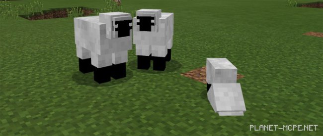 Мод Herobrine’s Everywhere 1.0/0.17.0 Мод Herobrine’s Everywhere 1.0/0.17.0
