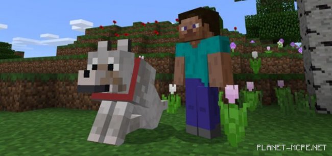 Мод My Wolf 1.0.8/1.0.0