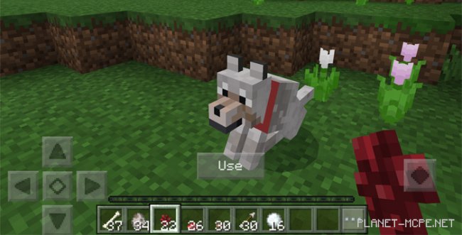 Мод My Wolf 1.0.8/1.0.0 Мод My Wolf 1.0.8/1.0.0