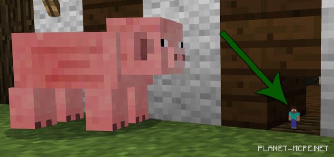 Мод Tiny Player 1.0.4.1/1.0.4/1.0.0
