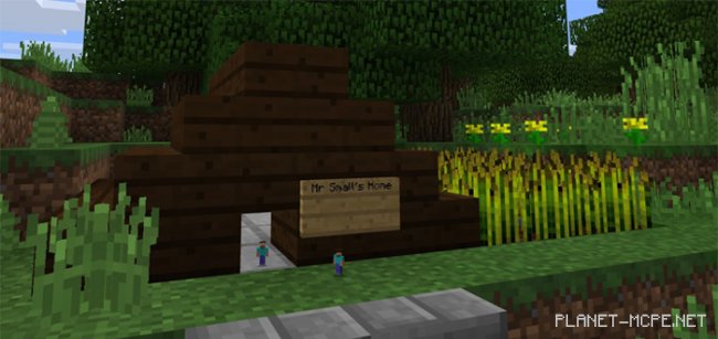 Мод Tiny Player 1.0.4.1/1.0.4/1.0.0 Мод Tiny Player 1.0.4.1/1.0.4/1.0.0