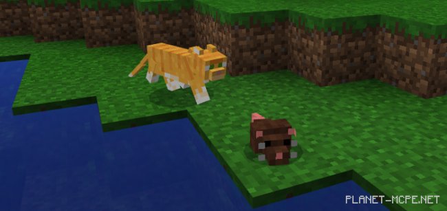 Мод Mouse 1.0.6/1.0.0