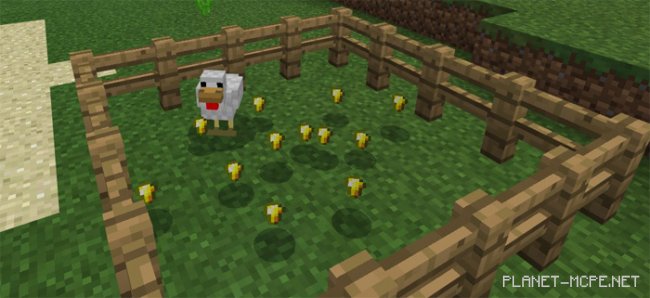 Мод Golden Chicken 1.0.6/1.0.0 Мод Golden Chicken 1.0.6/1.0.0