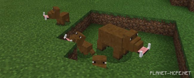 Мод Boar 1.0.6/1.0.0 Мод Boar 1.0.6/1.0.0