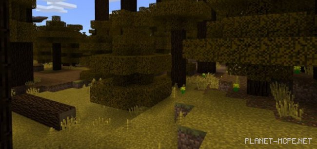 Текстур пак Autumn 1.0.6/1.0.0 Текстур пак Autumn 1.0.6/1.0.0