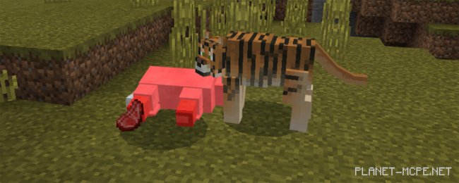 Мод Tiger 1.0.6/1.0.0 Мод Tiger 1.0.6/1.0.0