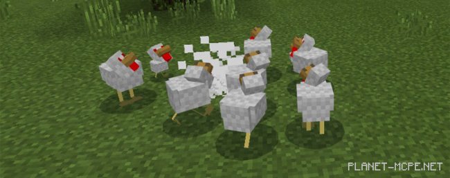 Мод Evil Chicken 1.0.7/1.0.0 Мод Evil Chicken 1.0.7/1.0.0