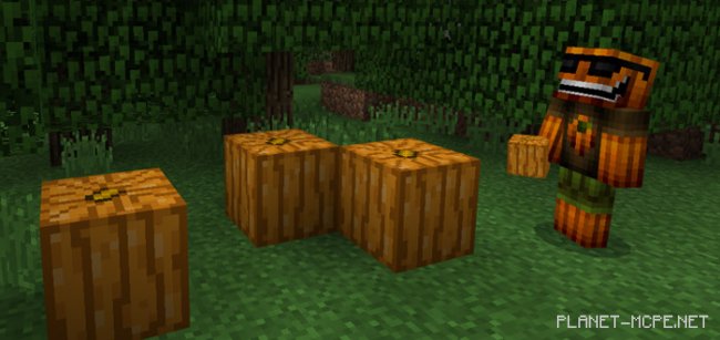 Текстурпак Uncarved Pumpkin 1.0.9/1.0.0