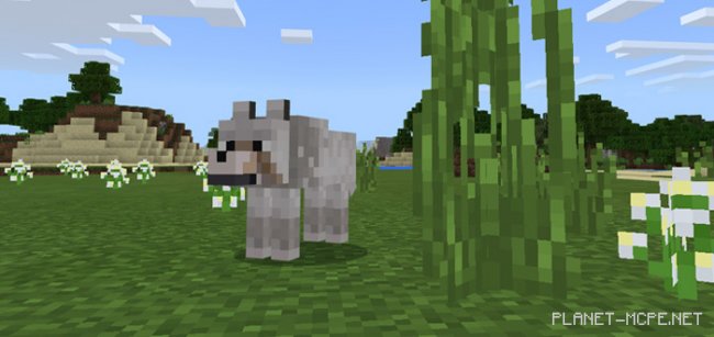 Мод More Wolves 1.1.5/1.1.0