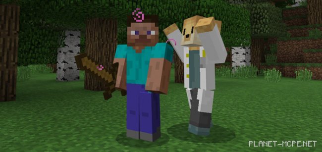 Мод Doctor Doge 1.1.4/1.1.0