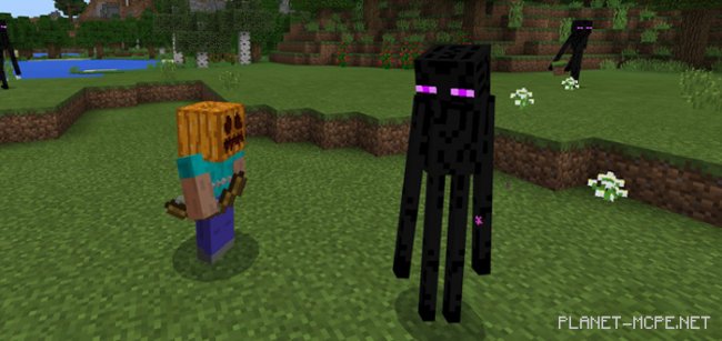 Мод Enderman Pet 1.2